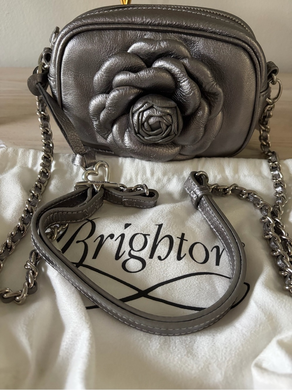 NWT Brighton Metallic Rosie Mini Camera Leather Bag